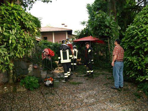 albero caduto castronno giuseppe bruschi