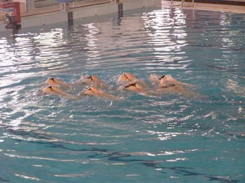 campionati assoluti italiani nuoto sincronizzato busto arsizio piscina manara giugno 2009