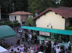cotechinata velatese, velate