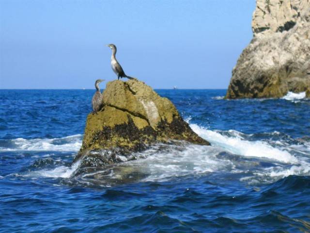 Lazio