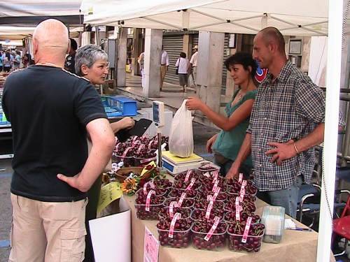 sagra delle ciliegie 2009 dandolo