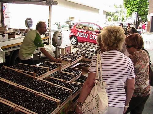 sagra delle ciliegie 2009 dandolo