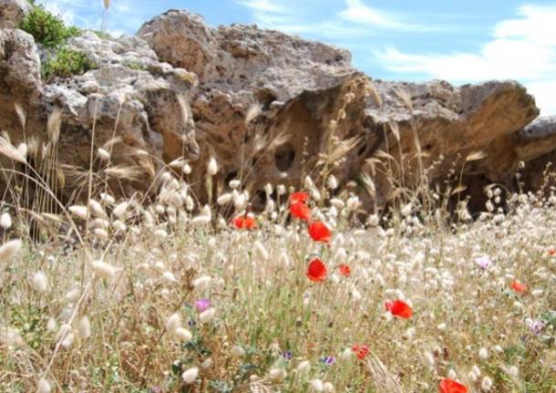 Sardegna