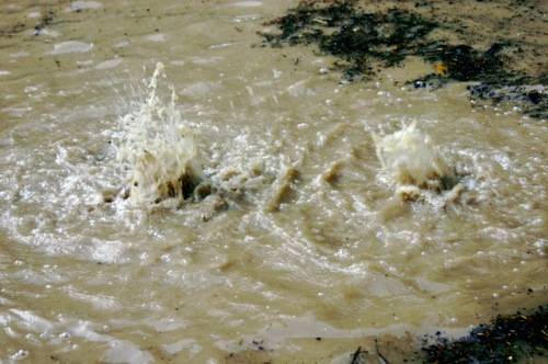 Allagamento Induno Olona