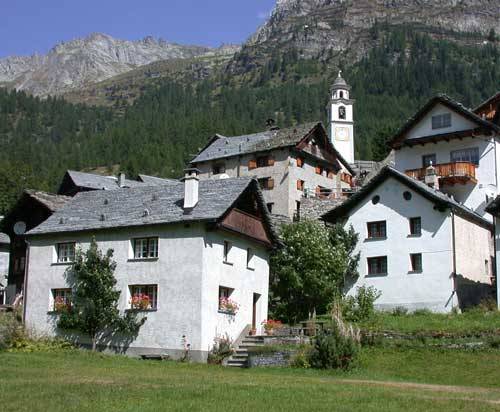 bosco gurin