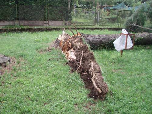 bufera ciclabile e oratorio calcinate 
