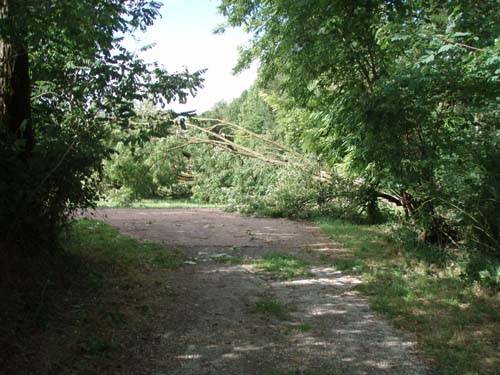 bufera ciclabile e oratorio calcinate 
