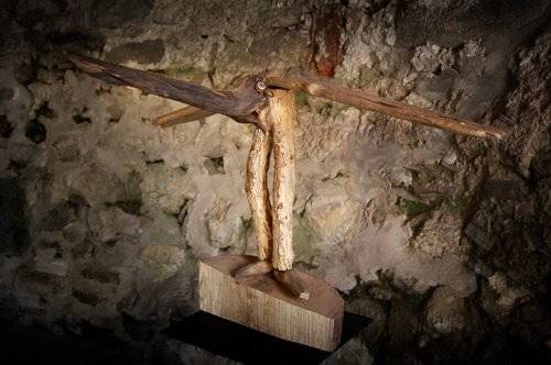 donatella mora cazzago brabbia