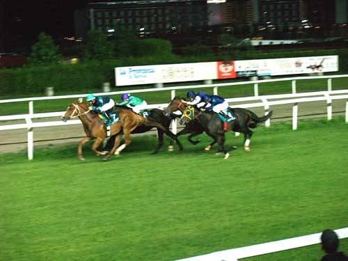 ippodromo 2009 corsa