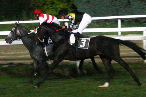 ippodromo premio marcialis 14/07/09