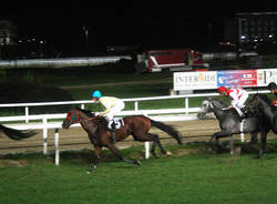ippodromo premio marcialis 14/07/09