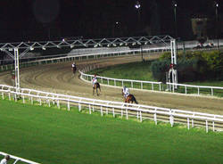 ippodromo premio marcialis 14/07/09