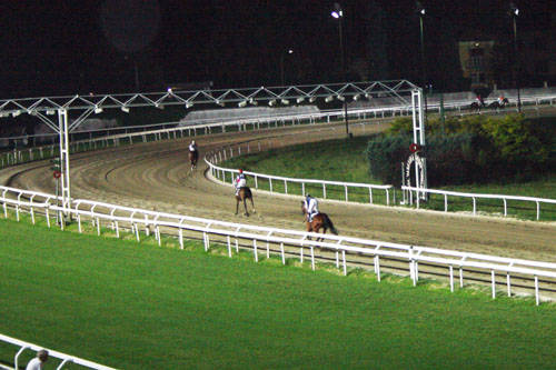 ippodromo premio marcialis 14/07/09