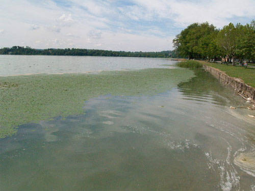 lago inquinato 2009