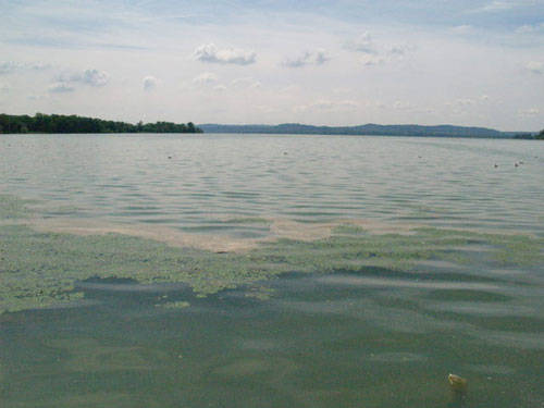 lago inquinato 2009