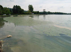 lago inquinato 2009