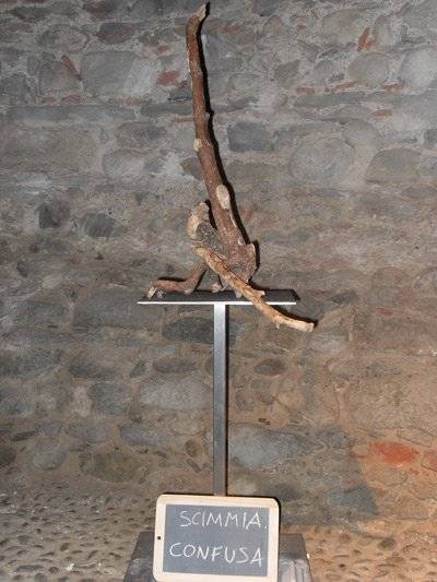 legni ghiacciaie donatella mora arteatro festival castelli di lago 2009