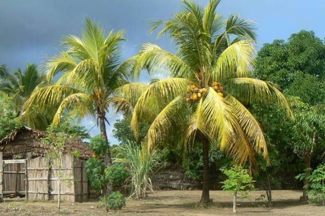 Madagascar