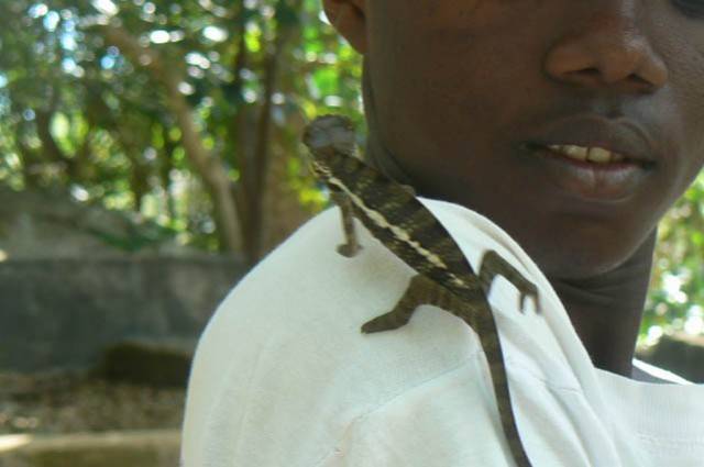 Madagascar