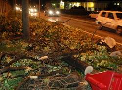 maltempo alberi caduti piante gallarate luglio 2009