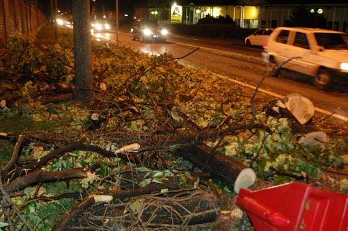 maltempo alberi caduti piante gallarate luglio 2009