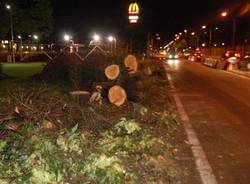 maltempo alberi caduti piante gallarate luglio 2009