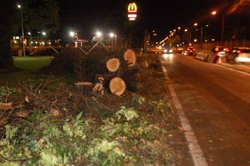 maltempo alberi caduti piante gallarate luglio 2009