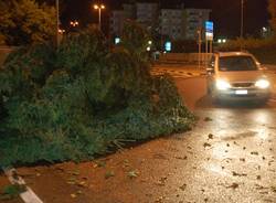 maltempo alberi caduti piante gallarate luglio 2009