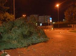 maltempo alberi caduti piante gallarate luglio 2009