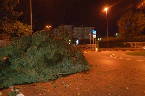 maltempo alberi caduti piante gallarate luglio 2009