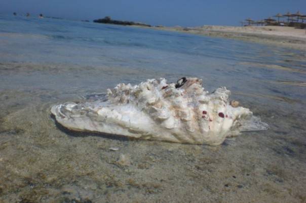 Marsa Alam e Luxor