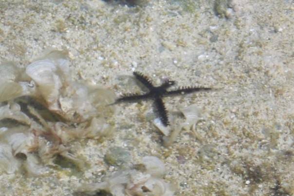 Marsa Alam e Luxor