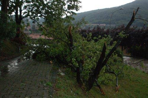 nubifragio luglio 2009 luino