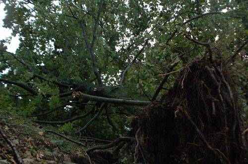 nubifragio luglio 2009 luino