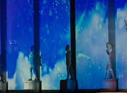 studio festi mondiali nuoto roma