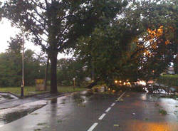 tromba d'aria gallarate luglio