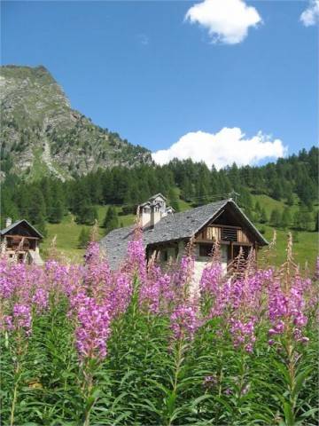 Alpe Devero
