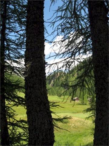 Alpe Devero