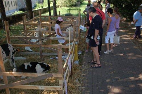 anguriata castellanza 2009