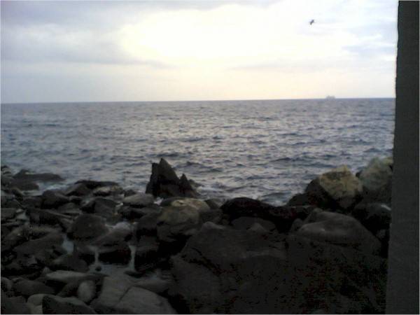 Capraia