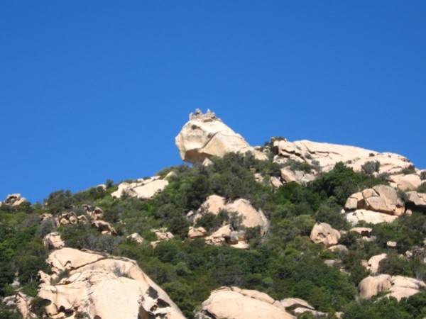 Corsica