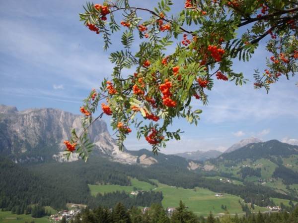 Corvara