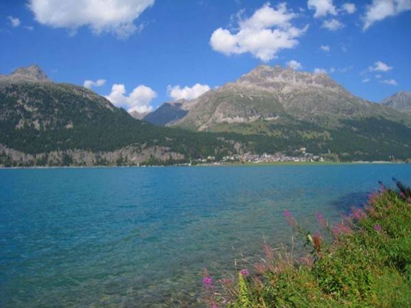 Engadina