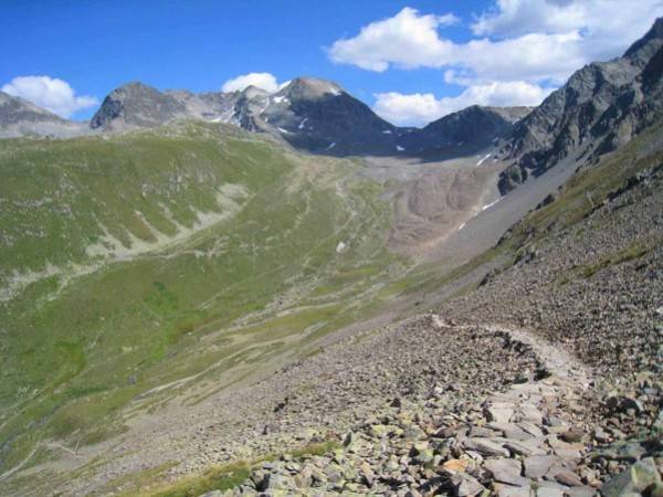 Engadina