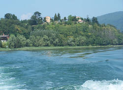 fior di loto michele