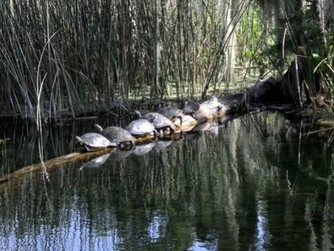 Florida
