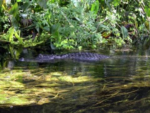Florida