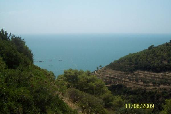 Gargano e Salento
