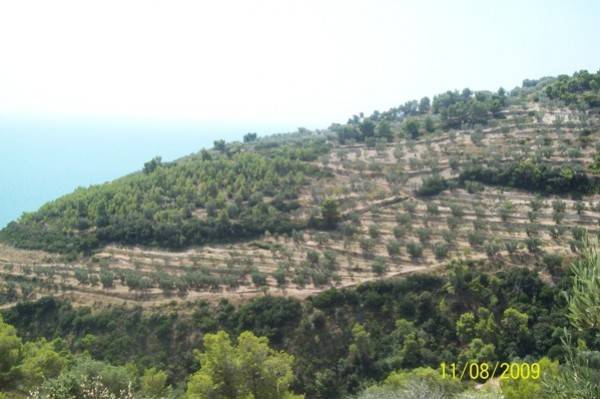 Gargano e Salento