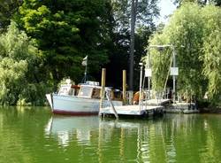 lago varese ninfee 2009